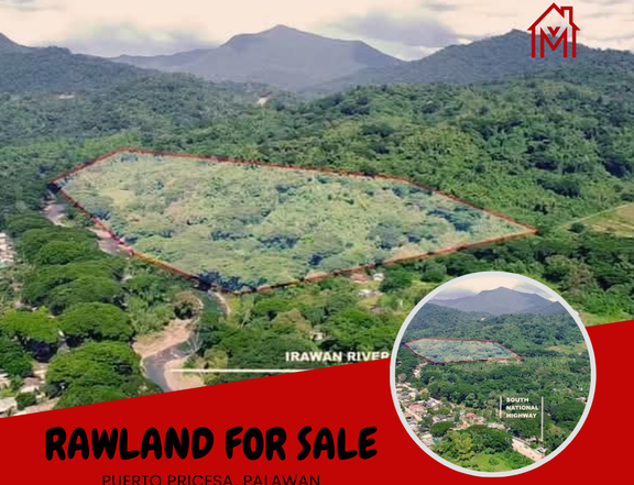 9 hectares Farm Lot For Sale in Puerto Princesa Palawan