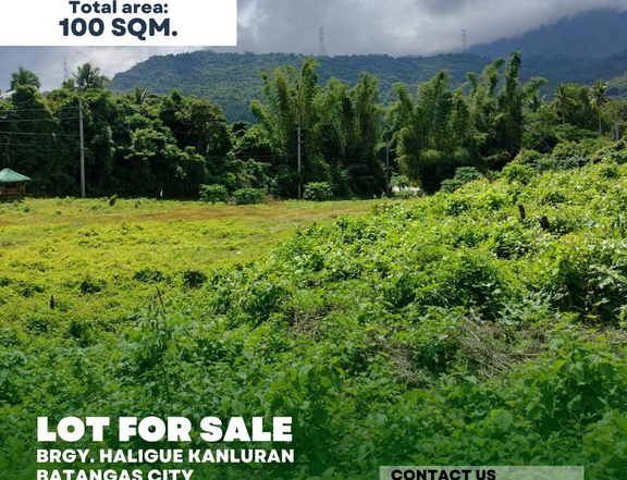 LOT FOR SALE 100 sqm Residential Lot For Sale in Batangas City Batangas