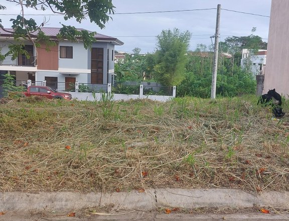 Spacious 100 sqm Residential Lot For Sale in The Glens at Parkspring San Pedro Laguna