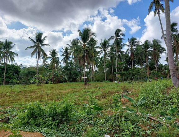 Farm Lot for Lease in Magallanes Cavite For Vacation Rental Business