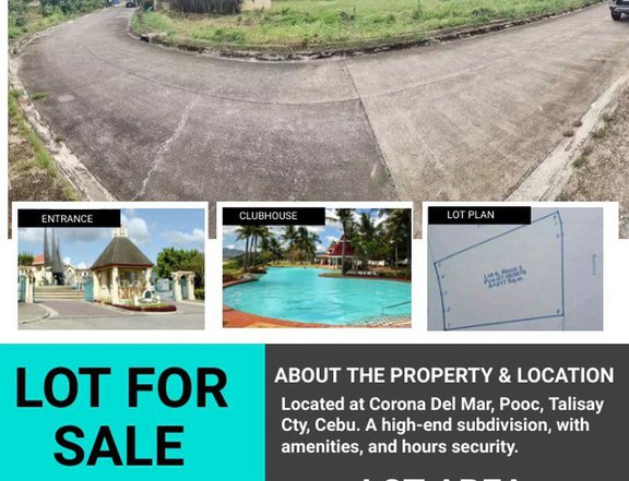 217 sqm Residential Lot For Sale in Talisay Cebu