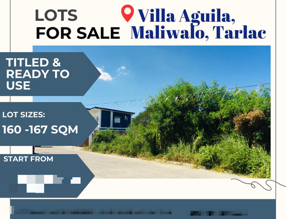 Ready to Use Lots for Sale near the gate at Villa Aguila Subdivision in Maliwalo Tarlac