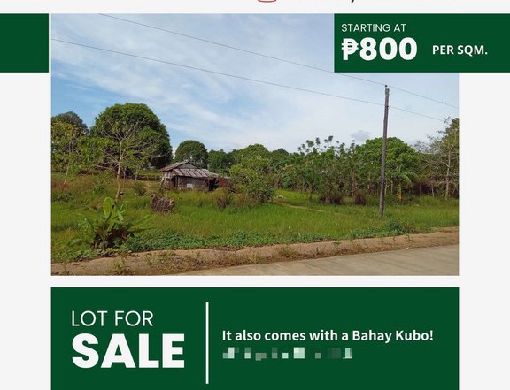 LOT FOR SALE IN NARRA, PALAWAN!