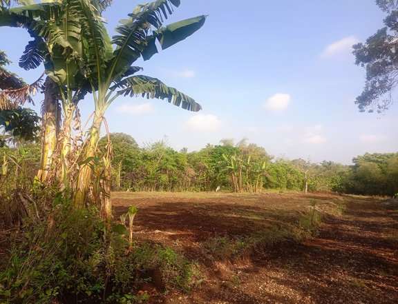 Residential Farm lot with good amenities