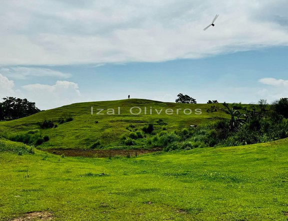 2.62 hectares Agricultural Farm For Sale in Lupao Nueva Ecija