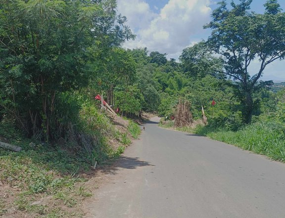 100 sqm Residential Farm For Sale in Morong Rizal