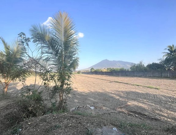 SALE: 1 hectare Farm Lot in Magalang, Pampanga