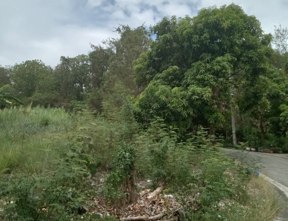 Maia Alta Corner Residential Lot Antipolo City