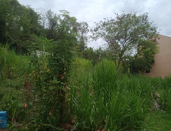 Maia Alta Antipolo Residential Lot 88 sqm