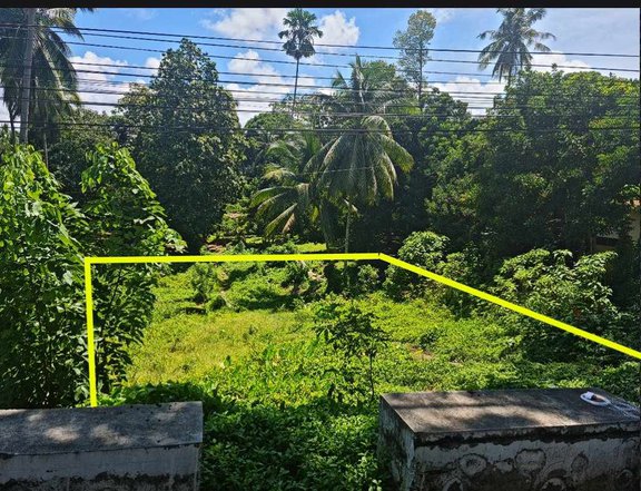 996sqm Lot along the highway (Davao-Cotabato Road) Owner's price