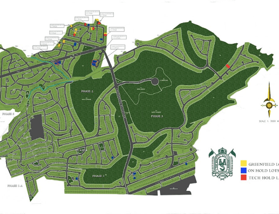 510 sqm Residential Lot For Sale in Carmona Cavite Manila Southwoods Golf and Country Club