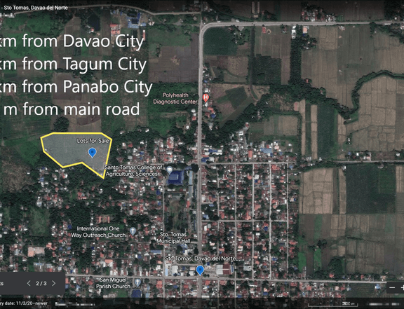 RUSH SALE! STO TOMAS DVO 13,309sqm RESIDENTIAL LOTS SUBDIVISION READY