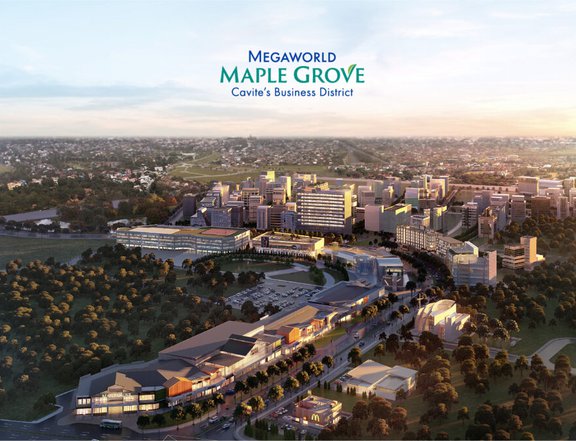 Invest in a 532 sqm Commercial Lot For Sale in Maple Grove General Trias Cavite: Easy Pay Terms