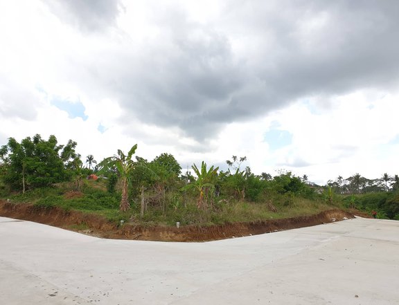 Residential Farm for sale 140 sqm in Cavite