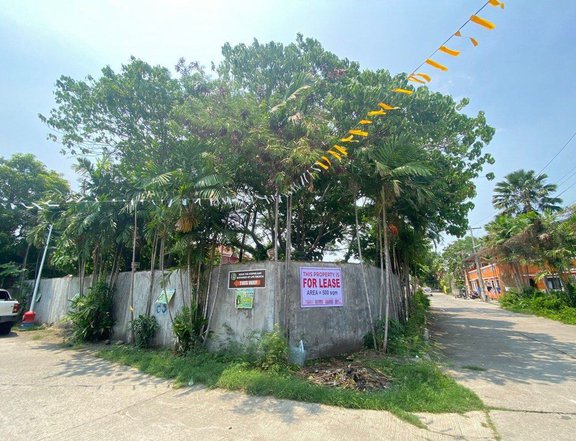 500 sqm. Enclosed Corner Lot For Lease @ Barangay Palanas, Lemery, Batangas for Warehouse Use.