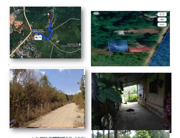 Pasto, villa Libertad, El nido, Palawan Lot Area: 492 sqm.