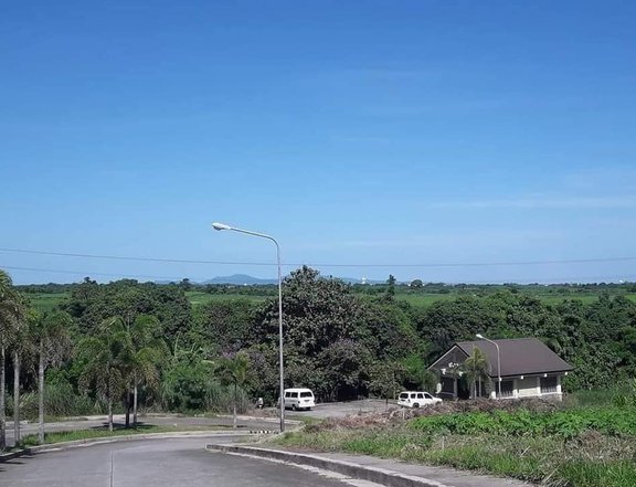 Tranquil 162 sqm  Lot of  Mesilo Nueva Vida by Sta Lucia Group of Companies  in Dasmarinas Cavite