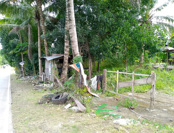 Prime Lot 1,000 sqm Residential Lot for Sale in Dauis, Bohol