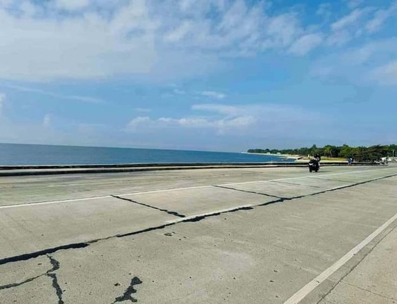 300sqm Commercial Lot along the road with Seaview in Guimbal Iloilo