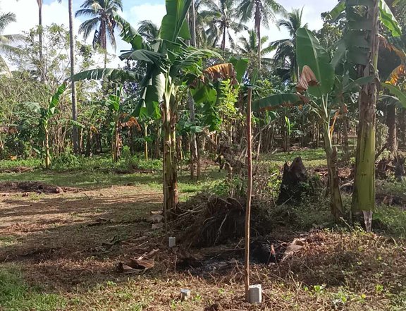 Farm lot in INDANG CAVITE