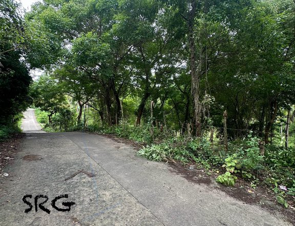 1 hectare Agricultural Farm For Sale in San Juan Batangas