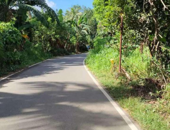 165 sqm Residential Farm For Sale in San Pablo Laguna