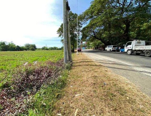 1.7 has Commercial lot For Sale in Sual Pangasinan