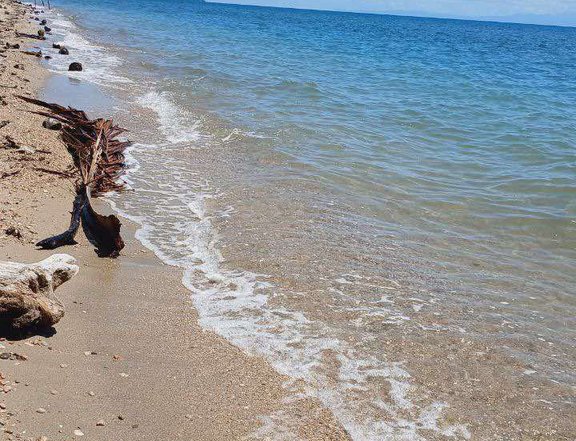 1,000 sqm Beach Property For Sale in San Andres Quezon