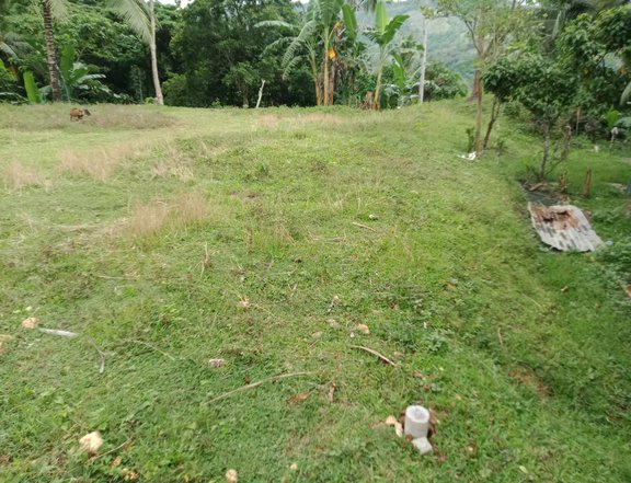Lot for sale in Brgy.Sacaon,Garcia-Hernandez,Bohol,Philippines