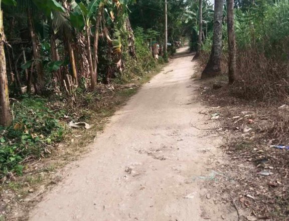 100 sqm Raw Land For Sale in Cebu City