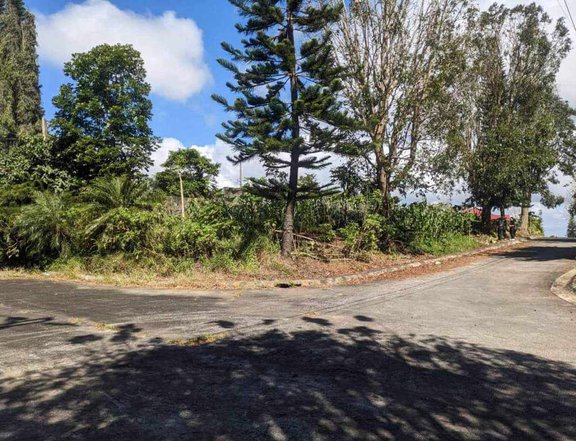 506 sqm Residential Lot For Sale in Windsor Heights Tagaytay Cavite