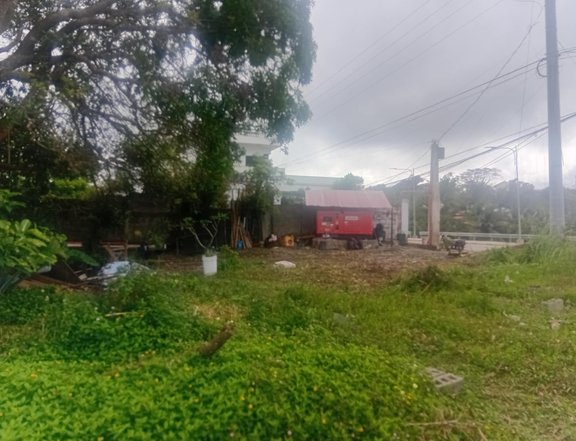 1.99hec Farm Lot for Sale in Brgy. Mayasang Lemery Batangas