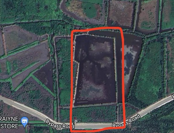 Raw Land For Sale 1000 pesos/sqm: Fishpond business/Residential