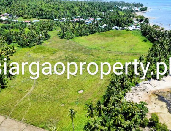 Sta.Monica Siargao Lot: Installment 6300 pesos/sqm