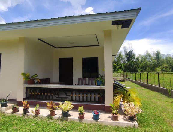2,800 sqm Residential Farm For Sale By Owner in Zamboanguita Negros Oriental