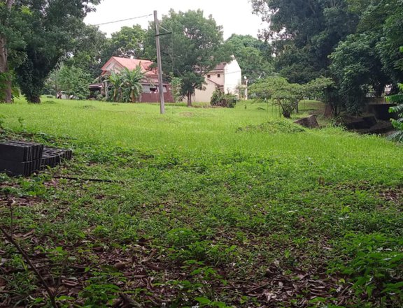 230 sqm Residential Lot For Sale in Greenwoods Dasmarinas Cavite