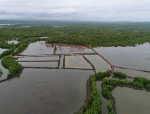64 HECTARES FISHPOND FOR SALE