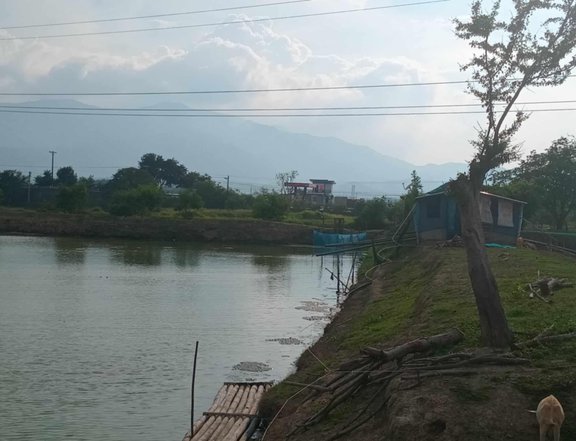 3.08 hectares fishpond For Sale in Labrador Pangasinan