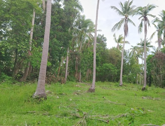 San Juan Batangas Farmlot