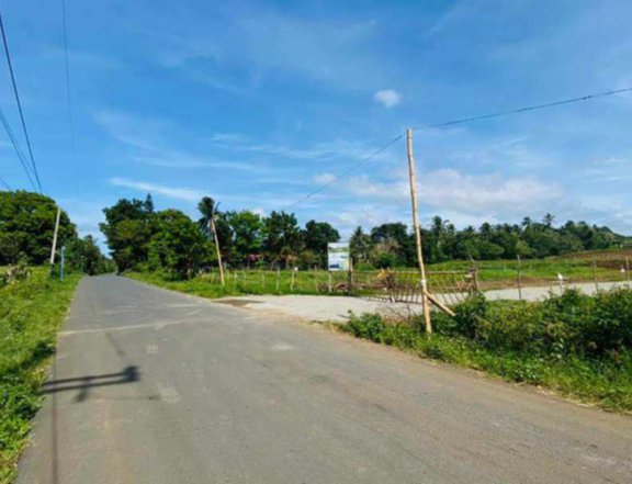 Residential Farm lot for Sale in Alfonso, Cavite
