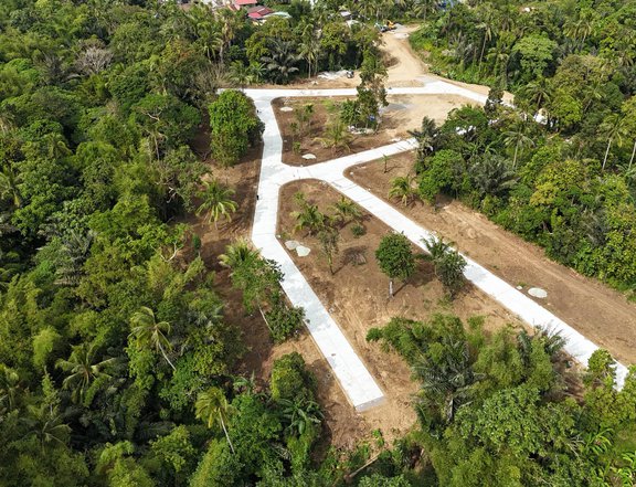 Lot for sale in Alfonso, Cavite with Free Transfer of Title