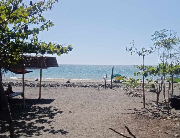 1,300 sqm Beach Property For Sale in Caba La Union