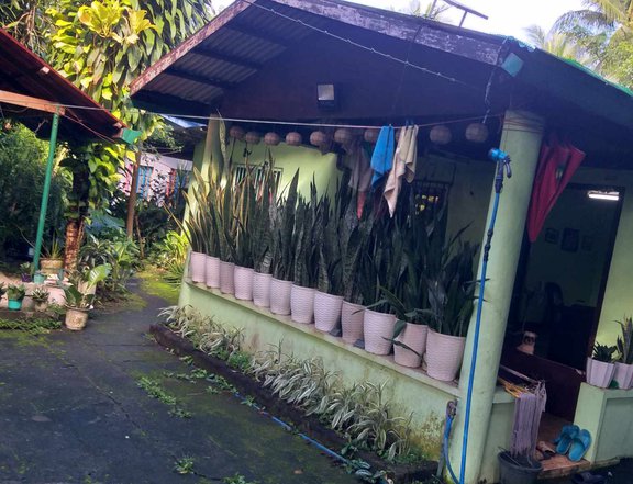 2 bedroom,3 T&B,1 maid room, house for sale in lipa