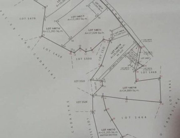 2.6 hectares lot for sale in Jaro, Leyte