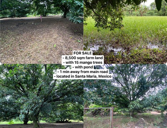 8,500 sqm Residential Farm For Sale in Mexico Pampanga