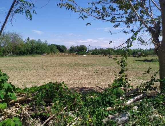 Building For Sale in Mangaldan Pangasinan