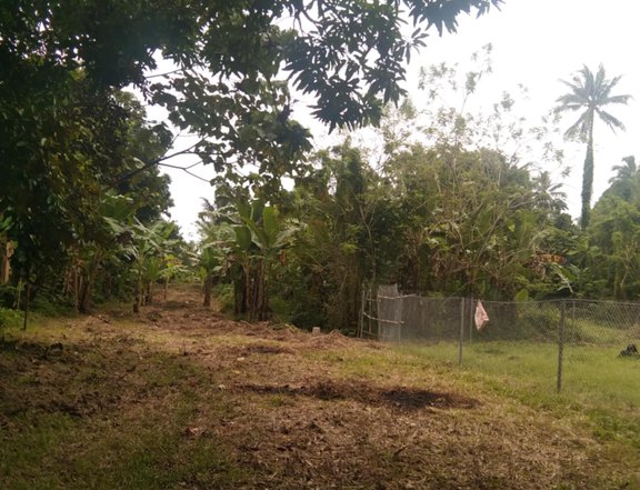 FARM LOT FOR SALE INDANG CAVITE