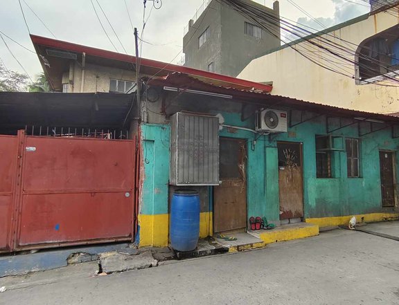 house and lot for sale in metro manila