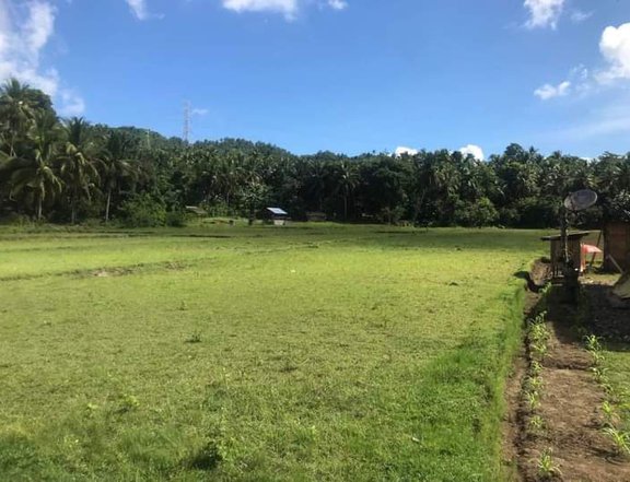 Agricultural Farm For Sale in Quezon Province