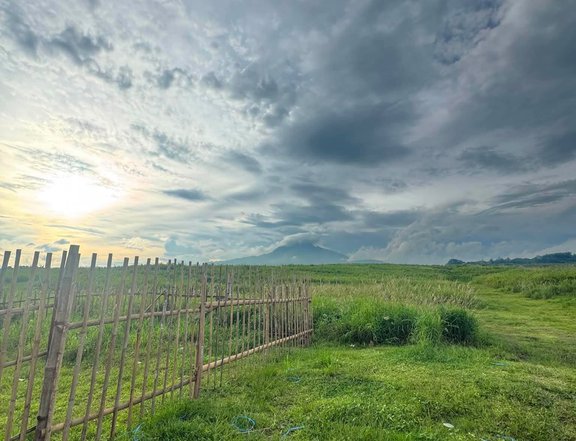 Affordable Lot for Sale in Prk. Cassava, Polo, Polomolok